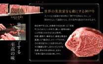 【冷蔵便】神戸牛セット