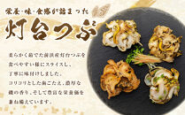 浜茹で灯台つぶの5種の味セット　各200g　合計1kg