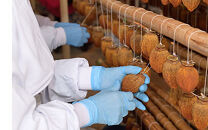 富山あんぽ柿&nbsp;4L&nbsp;6個入り&nbsp;《南砺の逸品》