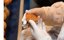 富山あんぽ柿&nbsp;4L&nbsp;6個入り&nbsp;《南砺の逸品》