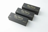 SkyBerry 3piece 3箱【ポイント交換専用】