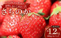 おいしさにこだわった&nbsp;いちご&nbsp;苺&nbsp;さちのか&nbsp;300g&nbsp;×&nbsp;4パック&nbsp;合計&nbsp;1.2kg&nbsp;2L&nbsp;サイズ&nbsp;江川農園