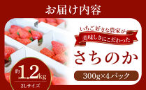 おいしさにこだわった&nbsp;いちご&nbsp;苺&nbsp;さちのか&nbsp;300g&nbsp;×&nbsp;4パック&nbsp;合計&nbsp;1.2kg&nbsp;2L&nbsp;サイズ&nbsp;江川農園