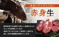 大田原ブランド認定牛&nbsp;前田牧場の赤身牛&nbsp;フィレ&nbsp;ステーキ&nbsp;150g×3枚&nbsp;|&nbsp;牛肉&nbsp;ブランド牛&nbsp;ヒレ&nbsp;ステーキ