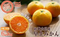 小粒の早生みかん6.5kg(小粒２S・３S混合)《ご家庭用》ちょっと訳あり 希少な小粒みかんを和歌山県より農園直送！まごころ産直みかん 【北海道・沖縄県・一部離島 配送不可】SSサイズ 小粒ミカン 蜜柑 小玉 わけあり 訳アリ
