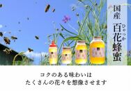 ☆味比べ☆ 国産百花蜂蜜・クローバー蜂蜜（各600g×1本）