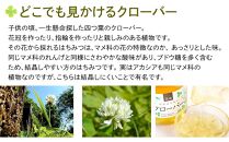 ☆味比べ☆&nbsp;国産百花蜂蜜・クローバー蜂蜜（各600g×1本）【蜂蜜&nbsp;はちみつ&nbsp;国産蜂蜜&nbsp;国産はちみつ&nbsp;百花蜂蜜&nbsp;百花はちみつ&nbsp;クローバー蜂蜜&nbsp;クローバーはちみつ&nbsp;蜂蜜味比べ】