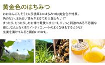 ☆味比べ☆国産&nbsp;百花蜂蜜・おおはんごんそう蜂蜜（各600g×1本）【蜂蜜&nbsp;はちみつ&nbsp;国産蜂蜜&nbsp;国産はちみつ&nbsp;百花蜂蜜&nbsp;百花はちみつ&nbsp;おおはんごんそう蜂蜜&nbsp;蜂蜜味比べ&nbsp;はちみつ食べ比べ】