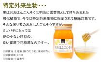 ☆味比べ☆国産&nbsp;百花蜂蜜・おおはんごんそう蜂蜜（各600g×1本）【蜂蜜&nbsp;はちみつ&nbsp;国産蜂蜜&nbsp;国産はちみつ&nbsp;百花蜂蜜&nbsp;百花はちみつ&nbsp;おおはんごんそう蜂蜜&nbsp;蜂蜜味比べ&nbsp;はちみつ食べ比べ】