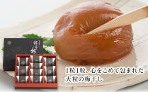 大粒の紀州南高梅&nbsp;人気のはちみつ仕立て「極」10包&nbsp;shokibai001B　［SB1］