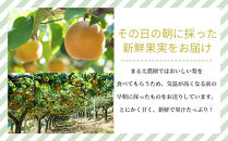 ［先行予約］種なし巨峰と旬の梨　約２kg［2026年8月上旬以降順次発送］