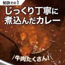 カレーパン 6個 牛肉 ゴロゴロ グランプリ 金賞受賞