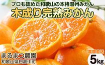 【2024年12月発送】濃厚完熟 木成り温州みかん 5kg ミックスサイズ 和歌山県産