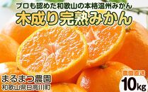 【2024年12月発送】濃厚完熟 木成り温州みかん 10kg ミックスサイズ 和歌山県産