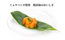 【春うに】 蝦夷バフンウニ 塩水パック 100g×3P【2024年4月頃より発送】