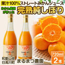 温州みかんジュース「完熟純しぼり」 100%ストレート 720ml×2本 和歌山県