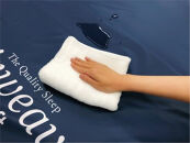 T044-NT&nbsp;病院介護用&nbsp;エアウィーヴ&nbsp;ウェルネスモデル&nbsp;マットレス&nbsp;M80-83RP&nbsp;(&nbsp;愛知県&nbsp;大府市&nbsp;エアウィーヴ&nbsp;エアウィーブ&nbsp;寝具&nbsp;)