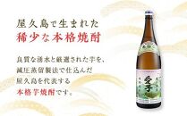 本格焼酎愛子　1.8L　 25度　三岳酒造