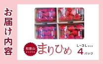 3月中旬より発送、和歌山県オリジナルまりひめイチゴ4パック入り（3L～L寸）