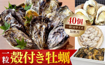 【一粒殻付き牡蠣】Mサイズ40個《加熱用》【広島かき 広島牡蠣 かき 新鮮 旬 おすすめ 人気 広島県 宮島 廿日市市】