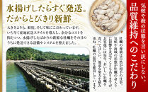 【一粒殻付き牡蠣】Mサイズ75個《加熱用》【広島かき 広島牡蠣 かき 新鮮 旬 おすすめ 人気 広島県 宮島 廿日市市】