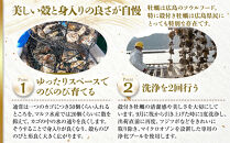 【一粒殻付き牡蠣】Mサイズ75個《加熱用》【広島かき 広島牡蠣 かき 新鮮 旬 おすすめ 人気 広島県 宮島 廿日市市】