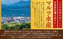［殻付き牡蠣］Ｌサイズ(大)20個《加熱用》【広島かき 広島牡蠣 かき 新鮮 旬 おすすめ 人気 広島県 宮島 廿日市市】