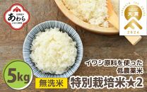 【先行予約】【令和7年産 新米】 特別栽培米 コシヒカリ 無洗米 5kg 低農薬 / 北陸 福井県産 あわら市 ブランド米 白米 お米 コメ 特栽米 ※2025年9月下旬以降順次発送