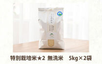 【令和4年産】 特別栽培米 コシヒカリ 無洗米 10kg （5kg×2袋） 低農薬  