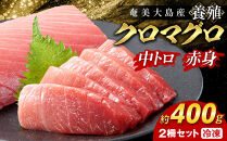 奄美大島産養殖クロマグロ&nbsp;2柵セット&nbsp;400g以上&nbsp;中トロ&nbsp;赤身&nbsp;冷凍【マグロ&nbsp;まぐろ&nbsp;黒マグロ&nbsp;クロマグロ&nbsp;本マグロ&nbsp;養殖マグロ&nbsp;冷凍マグロ&nbsp;マグロ刺身&nbsp;マグロ中トロ&nbsp;中トロ&nbsp;マグロ赤身&nbsp;赤身&nbsp;海鮮丼&nbsp;ブロック&nbsp;お刺身&nbsp;お取り寄せ&nbsp;カルパッチョ&nbsp;まぐろ丼&nbsp;お寿司&nbsp;手巻き寿司&nbsp;人気マグロ&nbsp;おすすめマグロ&nbsp;奄美大島マグロ&nbsp;海鮮&nbsp;魚介類&nbsp;魚&nbsp;さかな&nbsp;人気&nbsp;おすすめ&nbsp;奄美大島&nbsp;鹿児島県&nbsp;瀬戸内町】