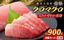 奄美大島産養殖クロマグロ&nbsp;4柵セット&nbsp;900g以上&nbsp;大トロ&nbsp;中トロ&nbsp;赤身&nbsp;冷凍【マグロ&nbsp;まぐろ&nbsp;黒マグロ&nbsp;クロマグロ&nbsp;本マグロ&nbsp;養殖マグロ&nbsp;冷凍マグロ&nbsp;マグロ刺身&nbsp;マグロ大トロ&nbsp;大トロ&nbsp;マグロ中トロ&nbsp;中トロ&nbsp;マグロ赤身&nbsp;赤身&nbsp;海鮮丼&nbsp;お刺身&nbsp;お取り寄せ&nbsp;カルパッチョ&nbsp;まぐろ丼&nbsp;お寿司&nbsp;手巻き寿司&nbsp;人気マグロ&nbsp;おすすめマグロ&nbsp;海鮮&nbsp;魚介類&nbsp;魚&nbsp;さかな&nbsp;人気&nbsp;おすすめ&nbsp;奄美大島&nbsp;鹿児島県&nbsp;瀬戸内町】