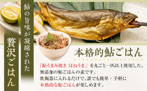 鮎まんまの素（２合用×２パック）