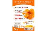 早生みかん【訳あり】5kg混合サイズ【和歌山の早生みかん】11月～12月に〈昔ながらのみかん〉鈴木みかん農園より農園直送で順次発送予定※北海道・沖縄・離島への配送不可　ミカン　蜜柑　mikan　温州みかん 温州ミカン　わけあり　訳アリ