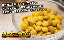 うっちーウコン粒 300粒