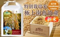 【令和５年産新米予約】特別栽培米「極上南魚沼産コシヒカリ」（有機肥料、8割減農薬栽培）玄米5ｋｇ