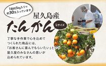 2025年 屋久島産たんかん 約30玉入（約5kg／Lサイズ）＜先行予約／数量限定＞