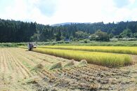 ◆特別栽培米 コシヒカリ光男さんのお米 白米  5kg×3袋