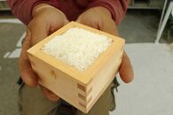 ◆特別栽培米 コシヒカリ光男さんのお米 白米  10kg×3袋