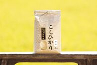 【令和8年産&nbsp;新米予約&nbsp;全12回定期便】南魚沼産コシヒカリ&nbsp;玄米5kg×12回&nbsp;新潟県の特A地区南魚沼市の美味しいお米【定期便&nbsp;銘柄米&nbsp;ブランド米&nbsp;玄米&nbsp;こしひかり&nbsp;コシヒカリ】【2026年11月上旬から1ヶ月以内に順次発送予定】