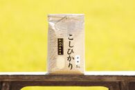 【令和8年産&nbsp;新米予約&nbsp;全12回定期便】南魚沼産コシヒカリ&nbsp;白米5kg×12回&nbsp;新潟県の特A地区南魚沼市の美味しいお米【定期便&nbsp;銘柄米&nbsp;ブランド米&nbsp;精米&nbsp;こしひかり&nbsp;コシヒカリ】【2026年11月上旬から1ヶ月以内に順次発送予定】
