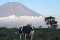 富士山プレミアム牛乳1リットルパック（3本セット×4回）