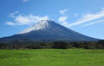 富士山プレミアム牛乳1リットルパック（4本セット×4回）