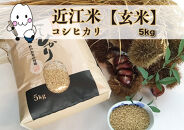 ◆農家直送 滋賀県高島市産 近江米【玄米】【玄米】 コシヒカリ 5kg× 1袋