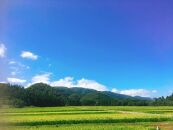 ◆実生庵の農家直送滋賀県高島市産 近江米【玄米】 コシヒカリ 10kg× 1袋