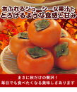 ◆先行予約◆〔柿満喫セット〕平核無柿10kg＆富有柿7.5kg【ご家庭用　全2回お届け】