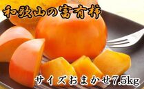 【2020年10月下旬発送開始】[甘柿の王様]和歌山産富有柿約7.5kgサイズおまかせ