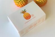 琉球パインアップルケーキ（6個入）2箱セット