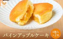 琉球パインアップルケーキ（6個入）2箱セット｜沖縄　那覇市　菓子 焼菓子 ケーキ パイン アップル スイーツ デザート 人気　パインアップルケーキ