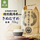【22年産新米】特別栽培米きぬむすめ 白米10kg 滋賀県竜王町 縁起の竜王米