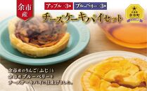 アップルチーズケーキパイとブルーベリーチーズケーキパイセット 計6個 各3個 北海道産